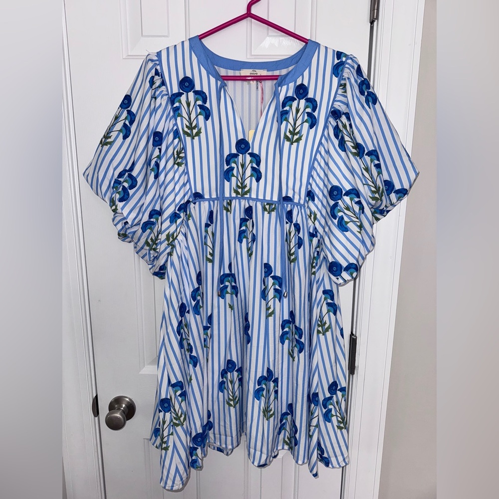 entro Blue and White Striped Floral dress